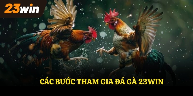 Các bước tham gia đá gà 23win