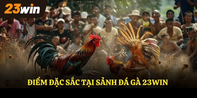 Điểm đặc sắc tại sảnh đá gà 23win