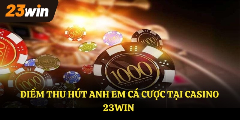 Điểm thu hút anh em cá cược tại CASINO 23WIN